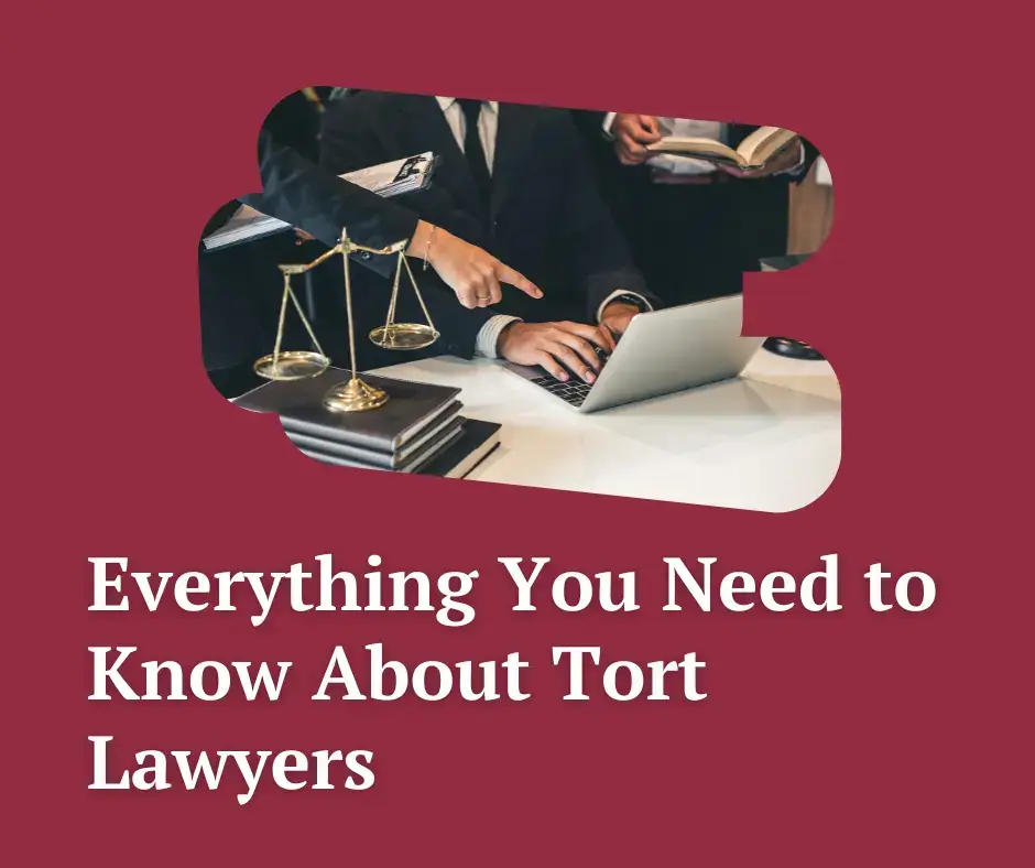 Everything You Need to Know About Tort Lawyers